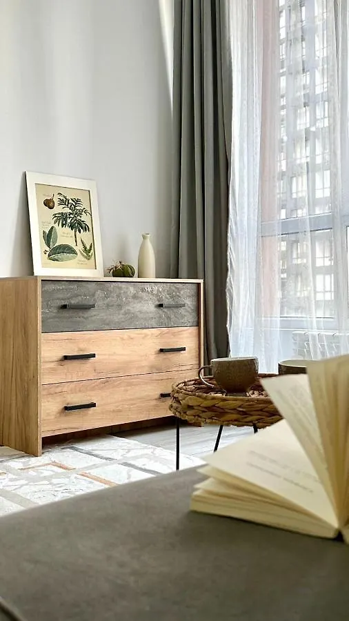 Spacious Apartment In Almaty Kazakhstan